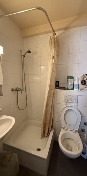 Appartement Bussigny-Lausanne - 1 pièce - Photo 1