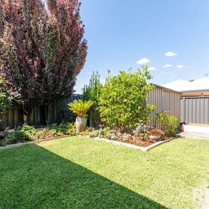 Banksia Grove - Photo 3