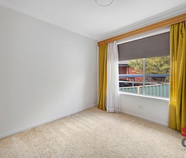 49 Collings Street, Pearce ACT 2607 - House For Rent | Domain - Photo 5