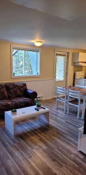 BACHELEUR À LOUER À SAINT-AGATHE-DES-MONTS, 2½ PRÈS DE TOUT LES SERVICES. - Photo 1