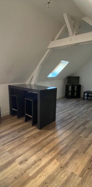 Location Appartement 1 pièce 18m² - Photo 1