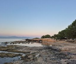 Συγκρότημα για ενοικίαση - Αίγινα, - Φωτογραφία 3