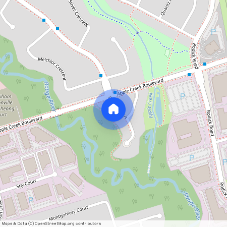 12 Crispin Court, Markham