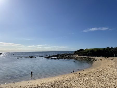 Little Bay - Photo 5