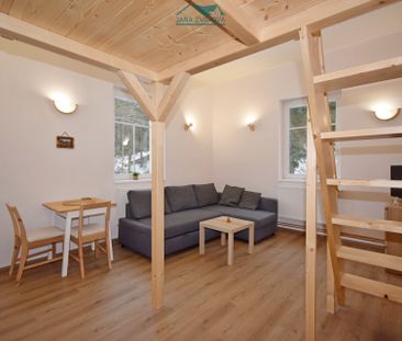 Pronájem bytu 1+kk a garsoniéry 34 m², Kořenov - Fotografie 3