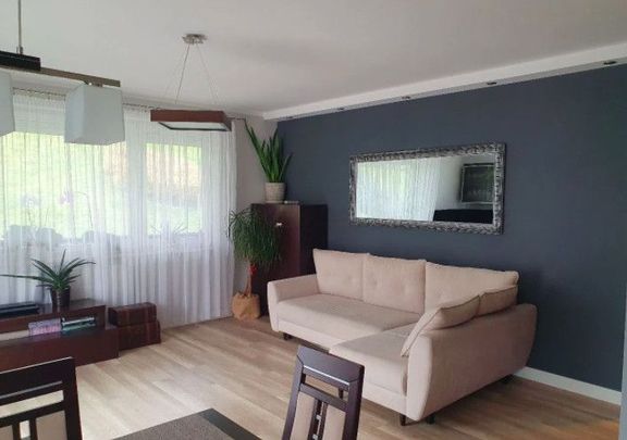 3-pokojowe przestronne mieszkanie - Photo 1