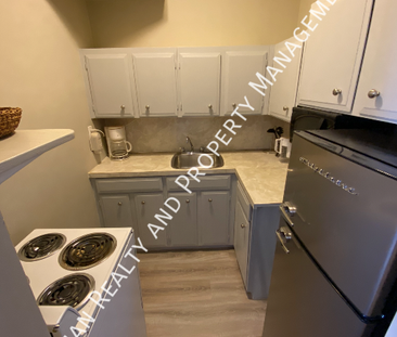 Downtown Furnished Studio Apartment, 1 Bath. The Balfour Building - Photo 6