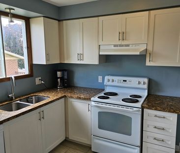 For Lease - 3 Baxter Crescent Unit# BEDRM 4, Thorold, Ontario - Photo 2