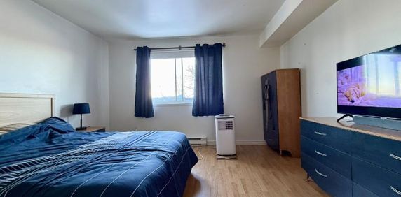 Appartement 3 ½ à louer Lévis juillet 2026 - Photo 2