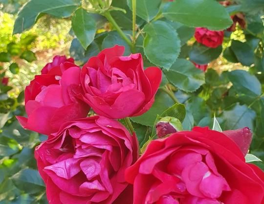 Gepflegte 2 ZKB in Neuhof-OT - Foto 1