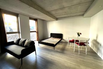 Apartamento T0 na Forca - Aveiro