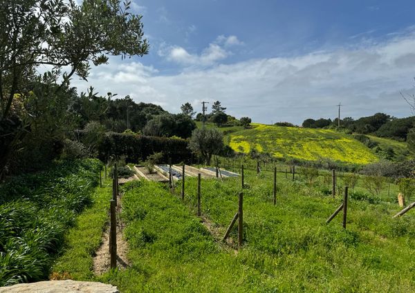 Newly built light three-bedroom villa located in the village of Janas, Sintra