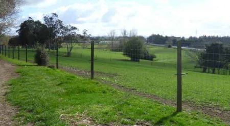 Rural Serenity - Photo 4