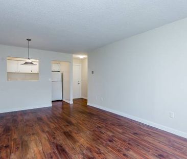 2 bedroom for rent $2600 - Photo 1