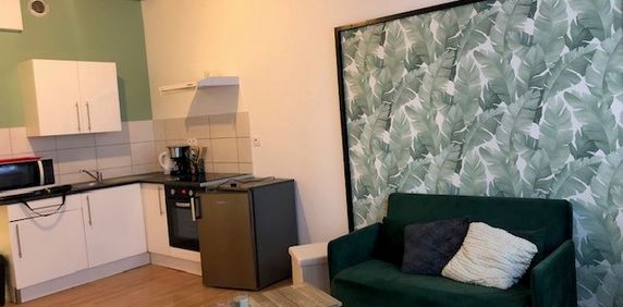 Location Appartement 2 pièces Meublé 42m² CHATEAUBRIANT 44110 - Photo 2