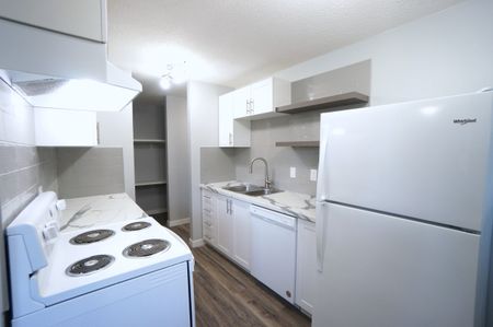 AMAZING newly reno'd Apartment in Lacombe! CATS OK! - Photo 2