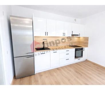 Pronájem nového bytu 2+kk v Chlumci n.C. - Fotografie 2