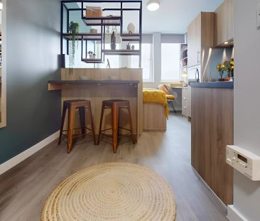 Bronze Studio Deluxe - Photo 6