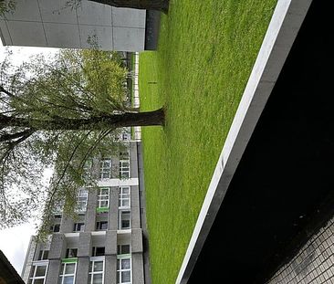 Kurler Wohngenuss: Geräumige 3-Zimmer-Oase in Dortmunds grüner Oase - Foto 3
