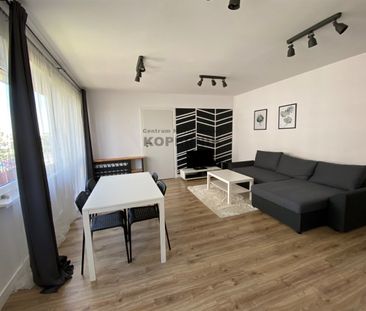 Toruń, Toruń - Photo 3