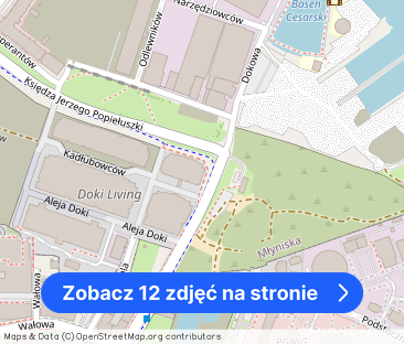 Nowe z widokiem na gdańskie dźwigi - Doki - Zdjęcie 1