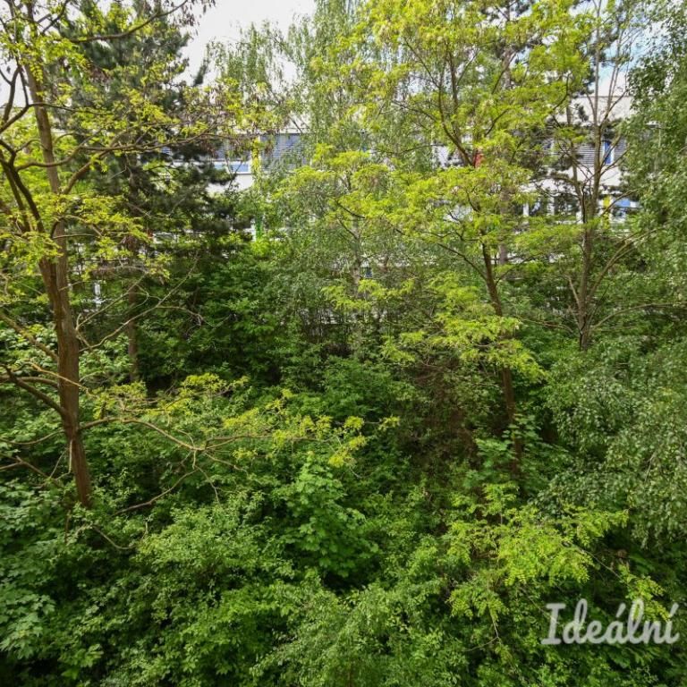 Pronájem bytuRenting an apartment 2+kk, 55 m2 - Photo 1
