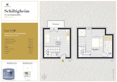 Location Appartement 1 pièce 26m² SCHILTIGHEIM 67300 - Photo 5