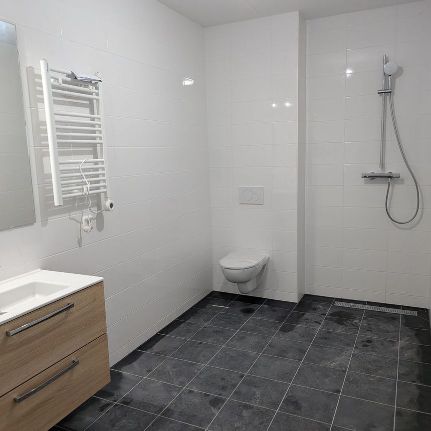 Victoriastein 76, De Steinen, 6714BX, Ede - Foto 1