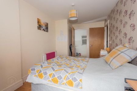 118 The Granary Building, James Clow, 15 Princes Dock Street, Belfast, BT1 3DS - Photo 5