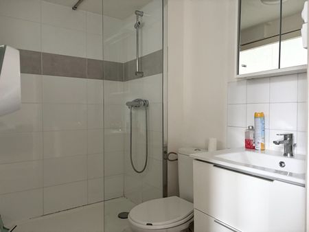 Location Appartement 1 pièce 23m² TOULOUSE 31300 - Photo 3