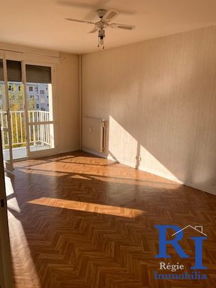 Location Appartement 1 pièce 26m² GRENOBLE 38000 - Photo 1