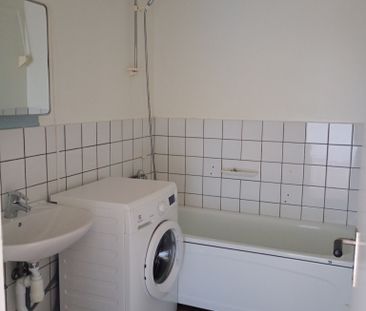 Ekbacken, Asarum - Foto 5