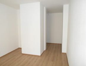 Leißnerstr. 28, Wohnung 2 ~~~ Maisonette, Balkon, Tageslichtbad mit Wanne und Dusche, Gäste-WC, Keller - Foto 1