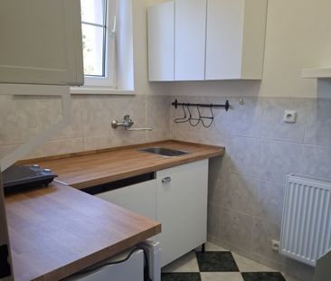 Pronájem bytu 1+1 • 35 m² bez realitkyMnichovice - Božkov u Mnichov... - Photo 4