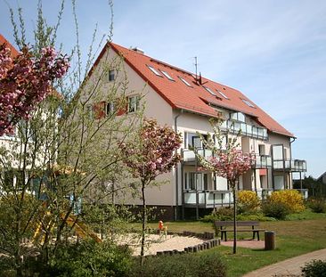 Naturnah wohnen mit "Waldblick-Balkon"! - Foto 4