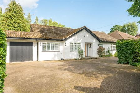 3 bedroom bungalow to rent - Photo 2