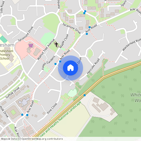 Magnolia Drive, Rendlesham, Woodbridge, IP12