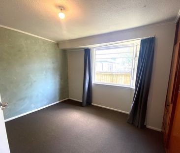 113c Ruskin Street, Addington, NZ 8041 - Photo 4