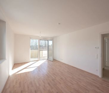 VIDEOTOUR: freundliche, helle 3 Zimmer Erstbezugswohnung + Balkon +... - Photo 4