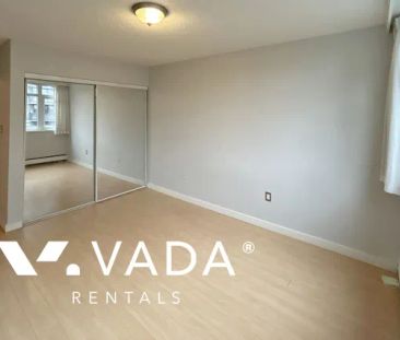 Unfurnished, Pet Friendly, 1 Bed 1 Bath Apartment For Rent - Photo 2