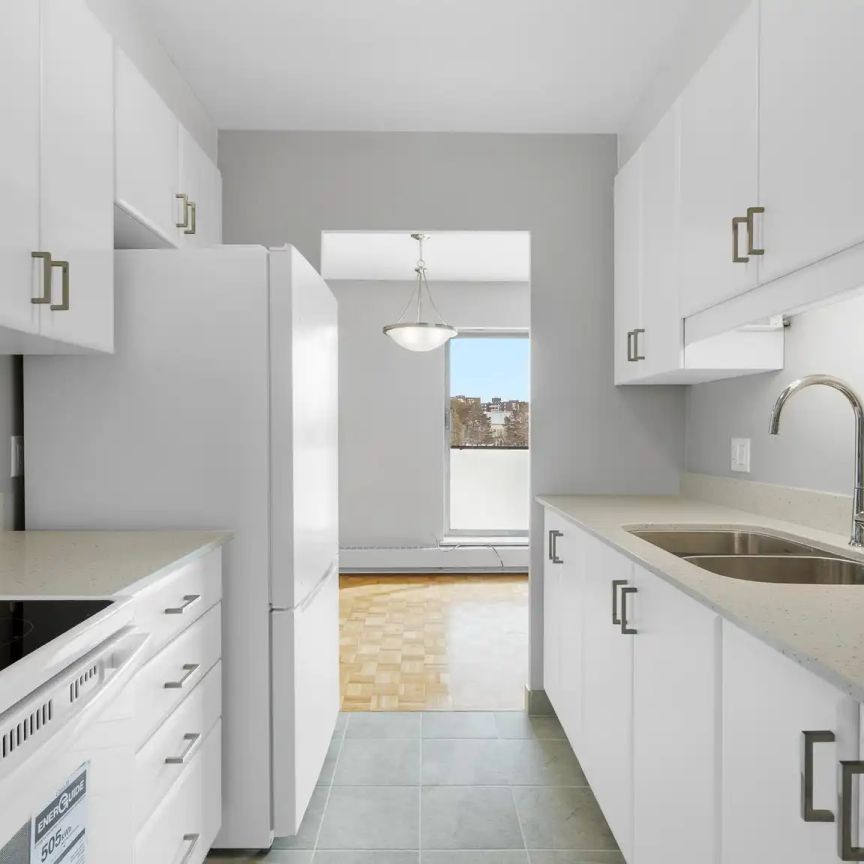 Canterbury Square — Renovated 1 Bedroom - Photo 1