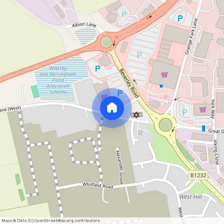 Great Gutter Lane West, Willerby