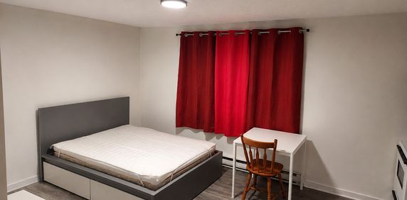 Studio - 1 1/2 Meublé Mont-Bellevue - Photo 2