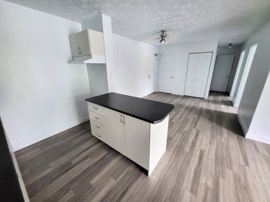 Appartement 4 ½ rénové à louer – Sherbrooke, Secteur Université & Mont-Bellevue - Photo 1