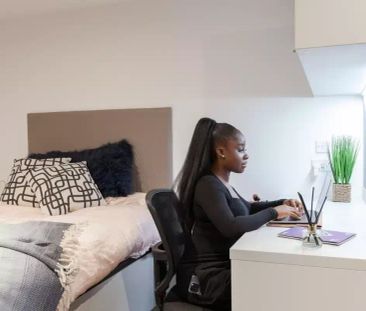 True Studio - Photo 5