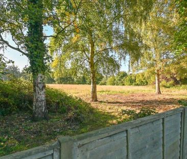 3 bedroom bungalow to rent - Photo 1