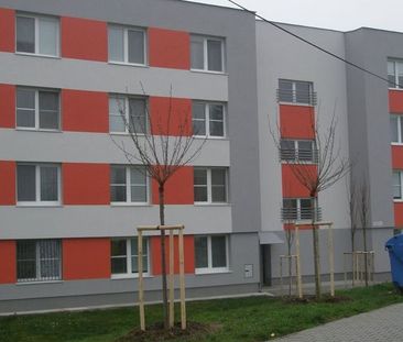 IMPEREAL-Prenájom veľkej garsónky - 36 m2 s loggiou v Rači - Photo 3