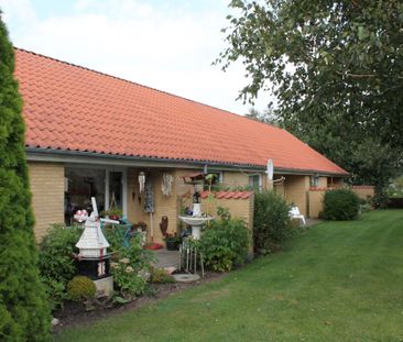 Solhøj 25-39, 41-47, Nørager - Photo 5