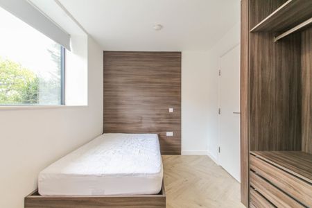 4 bed Apartment for Rent - Photo 4