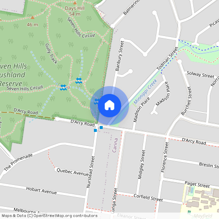 4 Banbury Street, Qld 4152, Carina